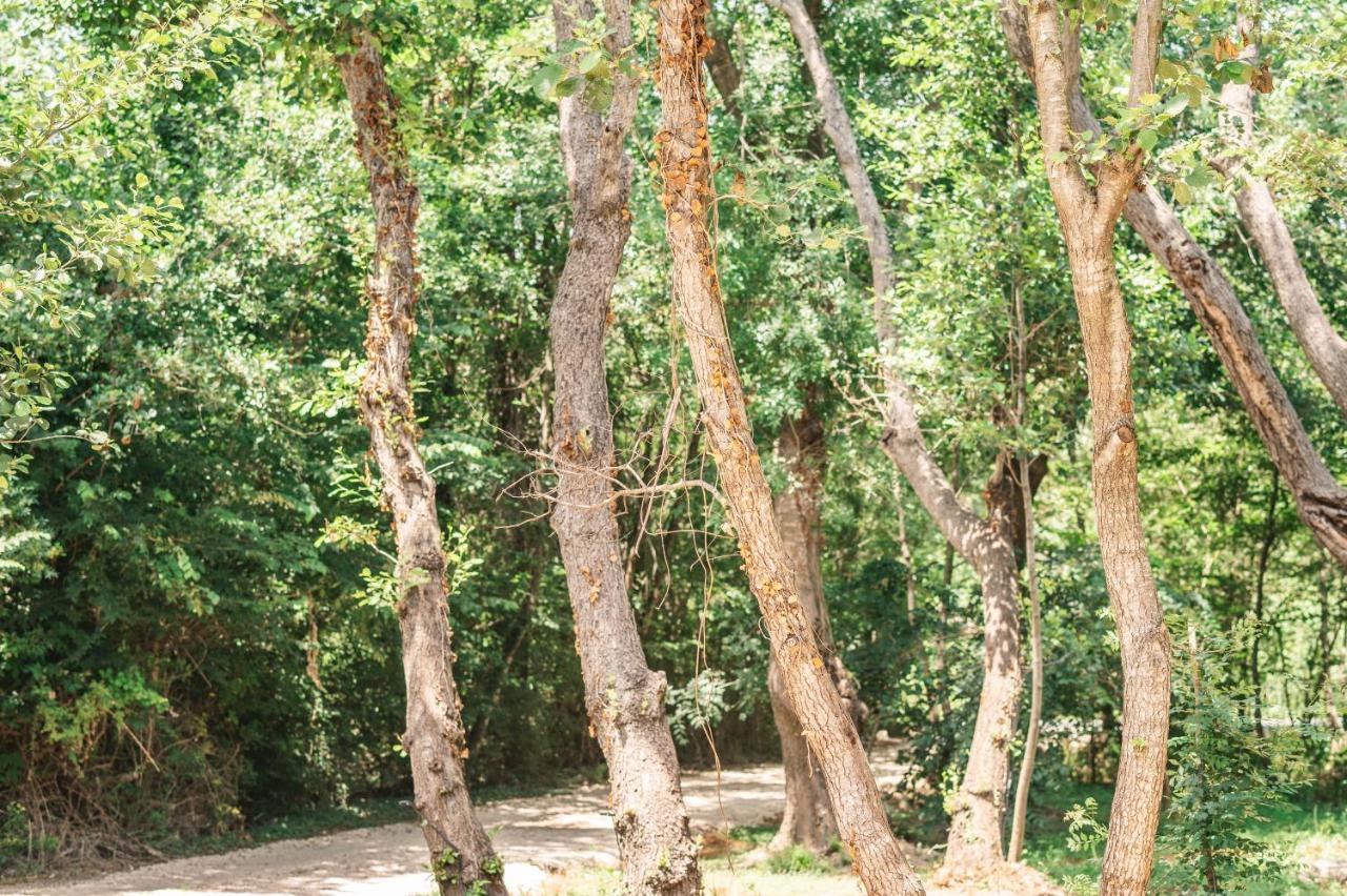 Congo Bungalow ウルツィニ エクステリア 写真